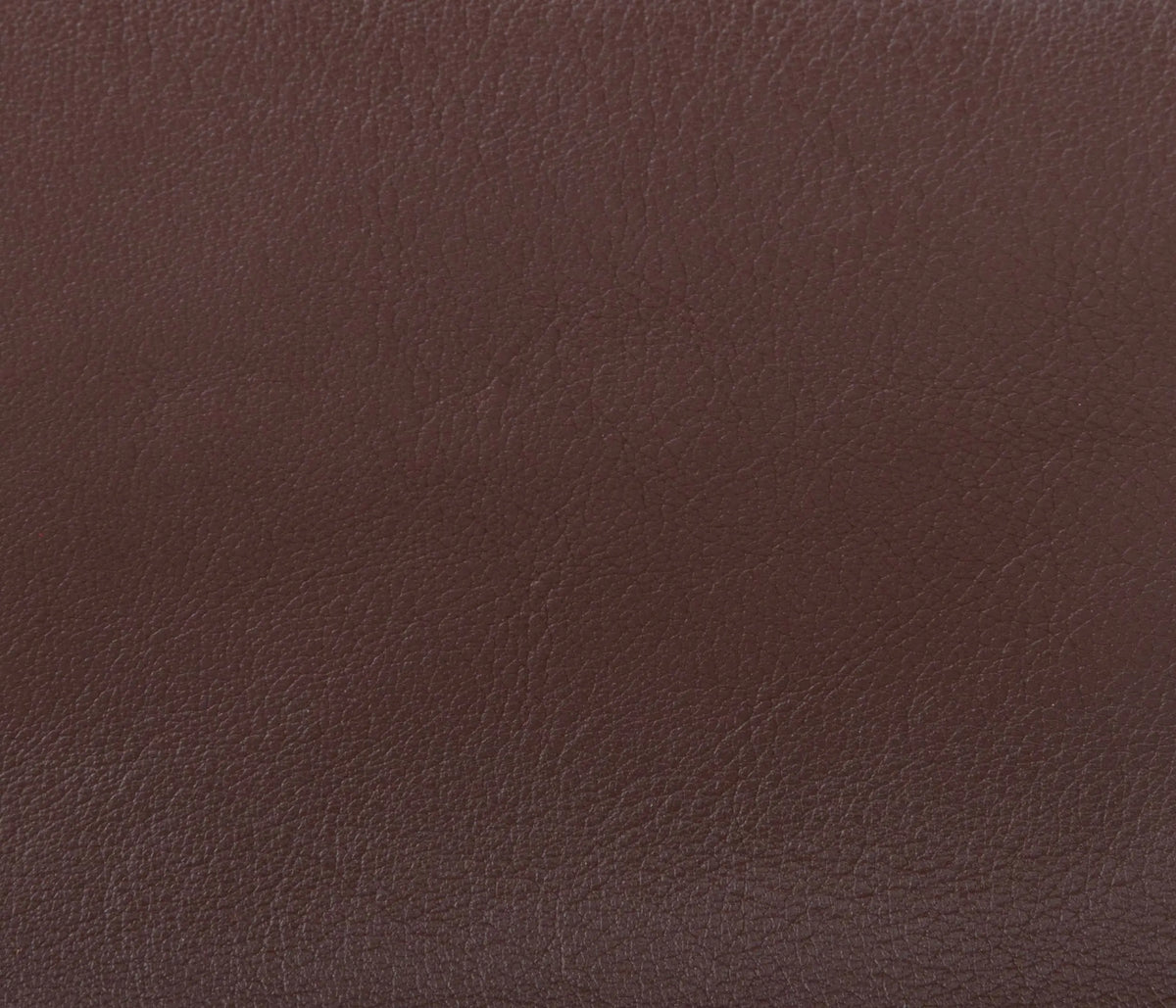 Couleur Cuir : Plateau