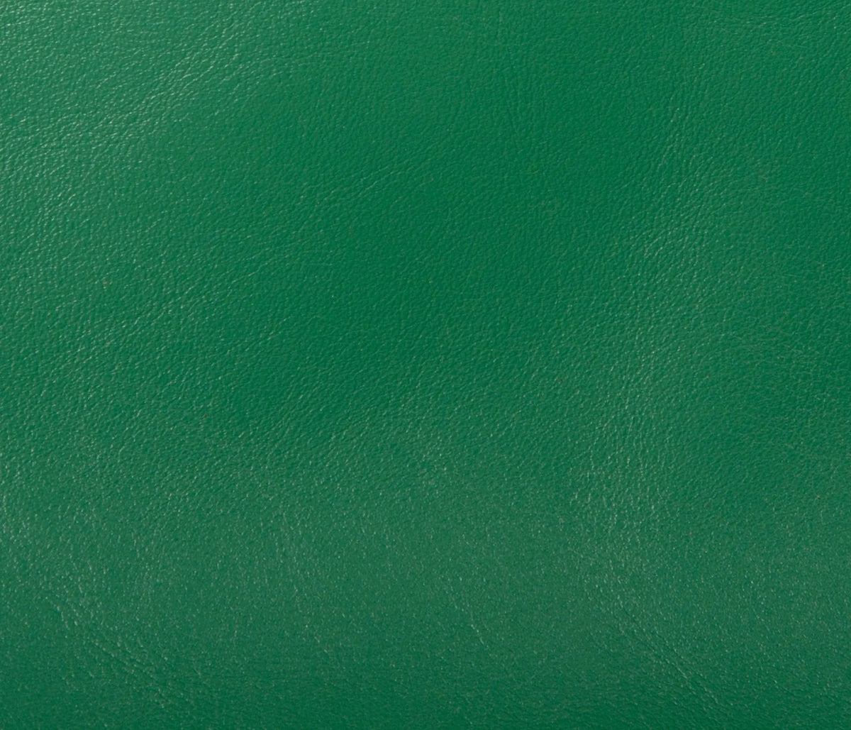 Couleur Cuir : Plateau