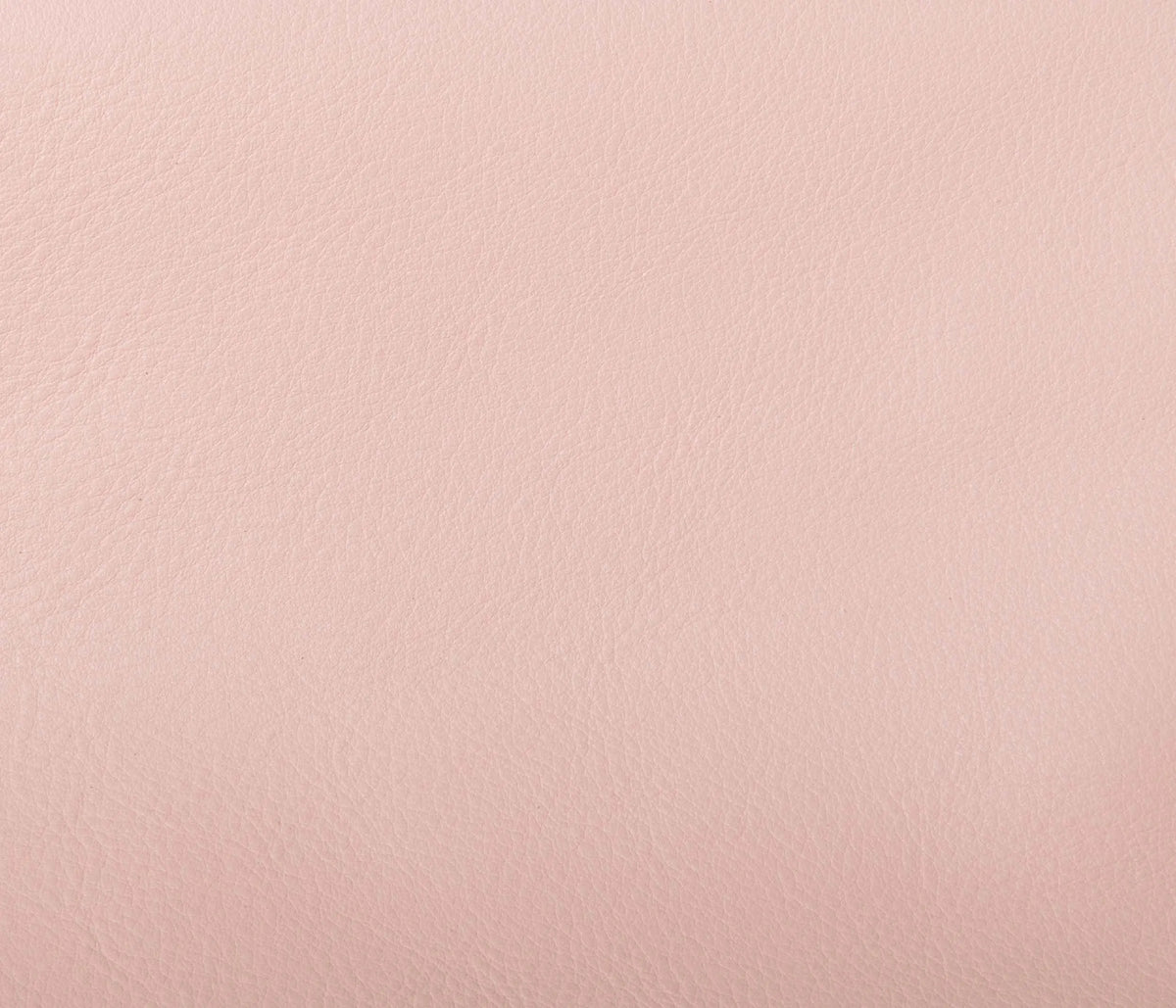 Couleur Cuir : Plateau