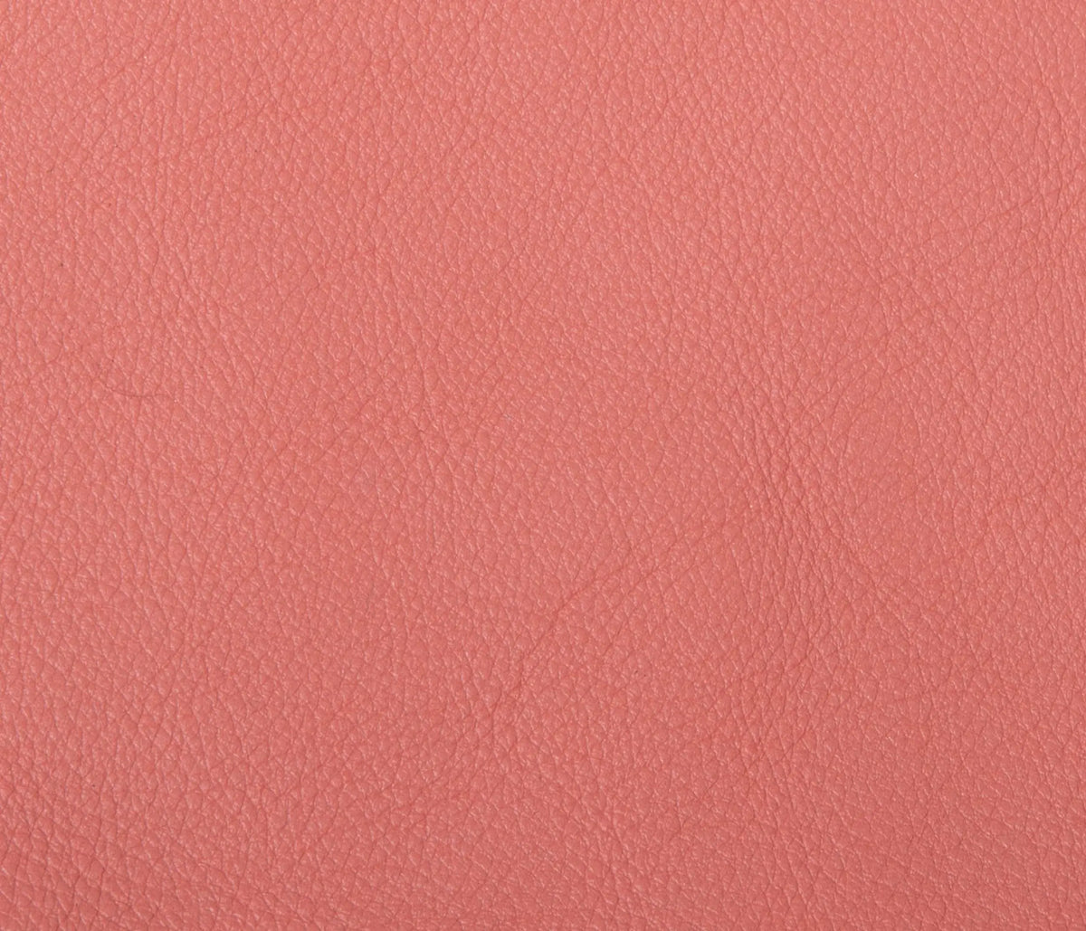 Couleur Cuir : Plateau