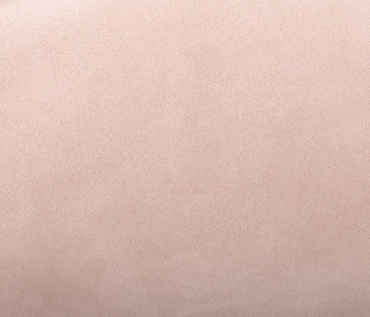 Couleur Cuir : Plateau