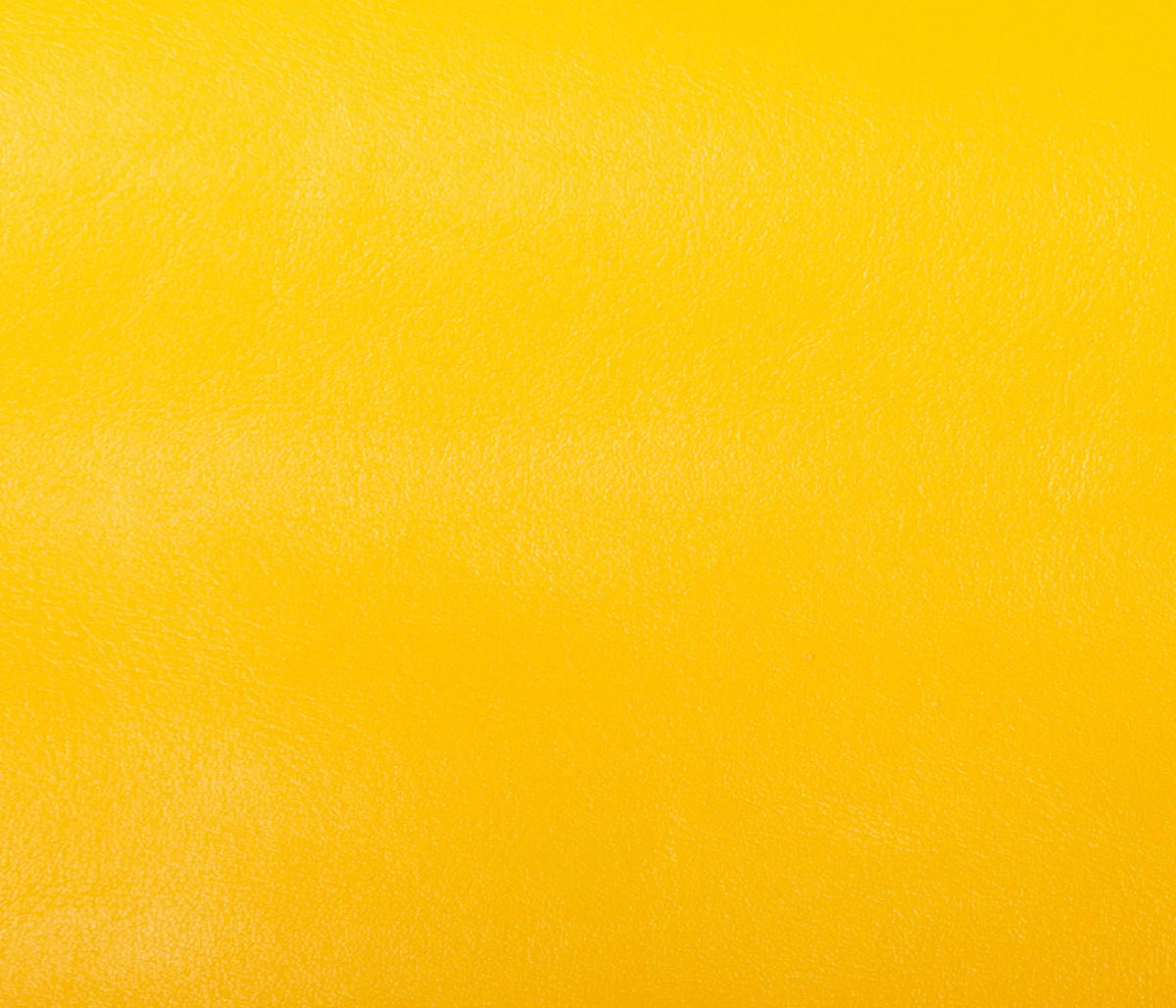 Couleur Cuir : Plateau