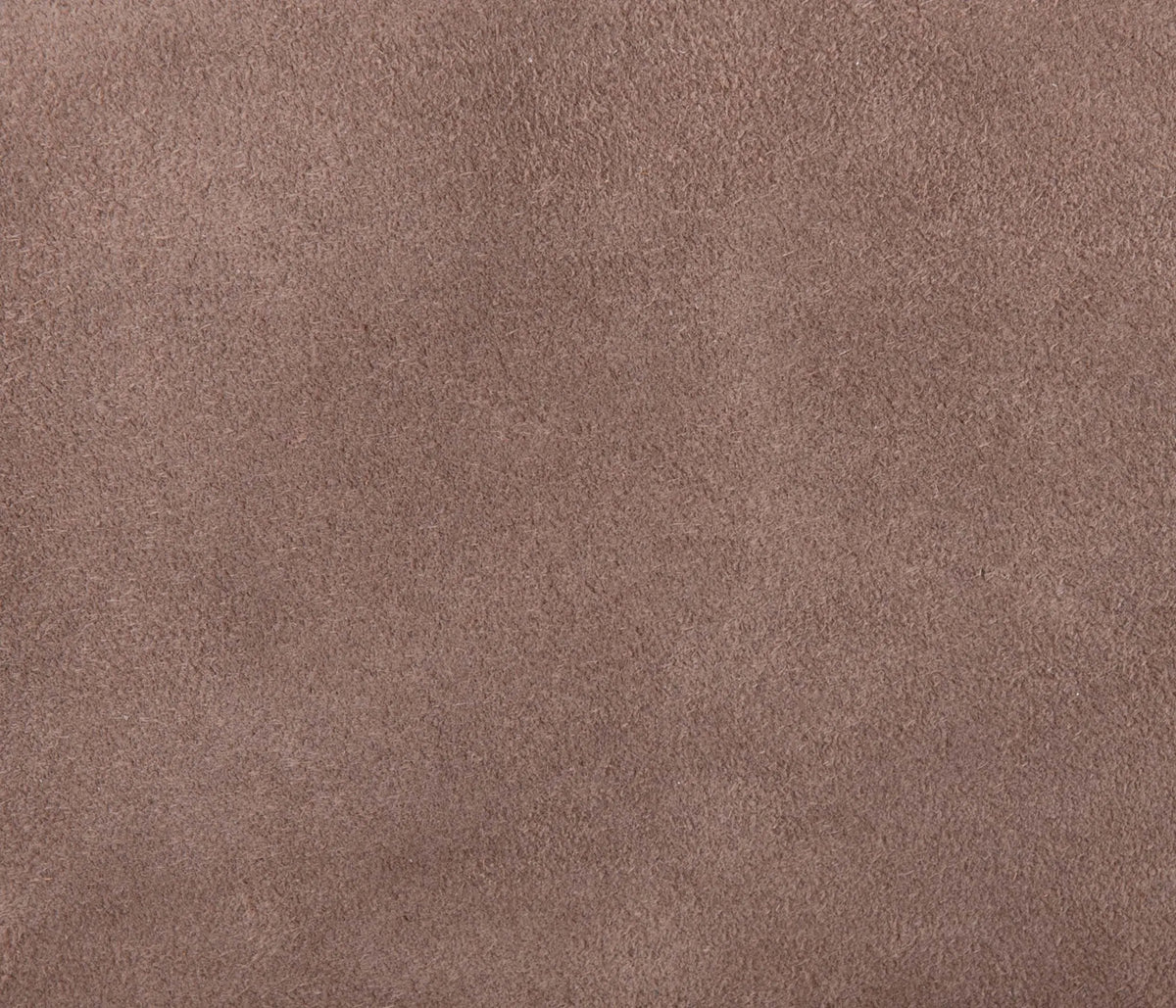 Couleur Cuir : Plateau