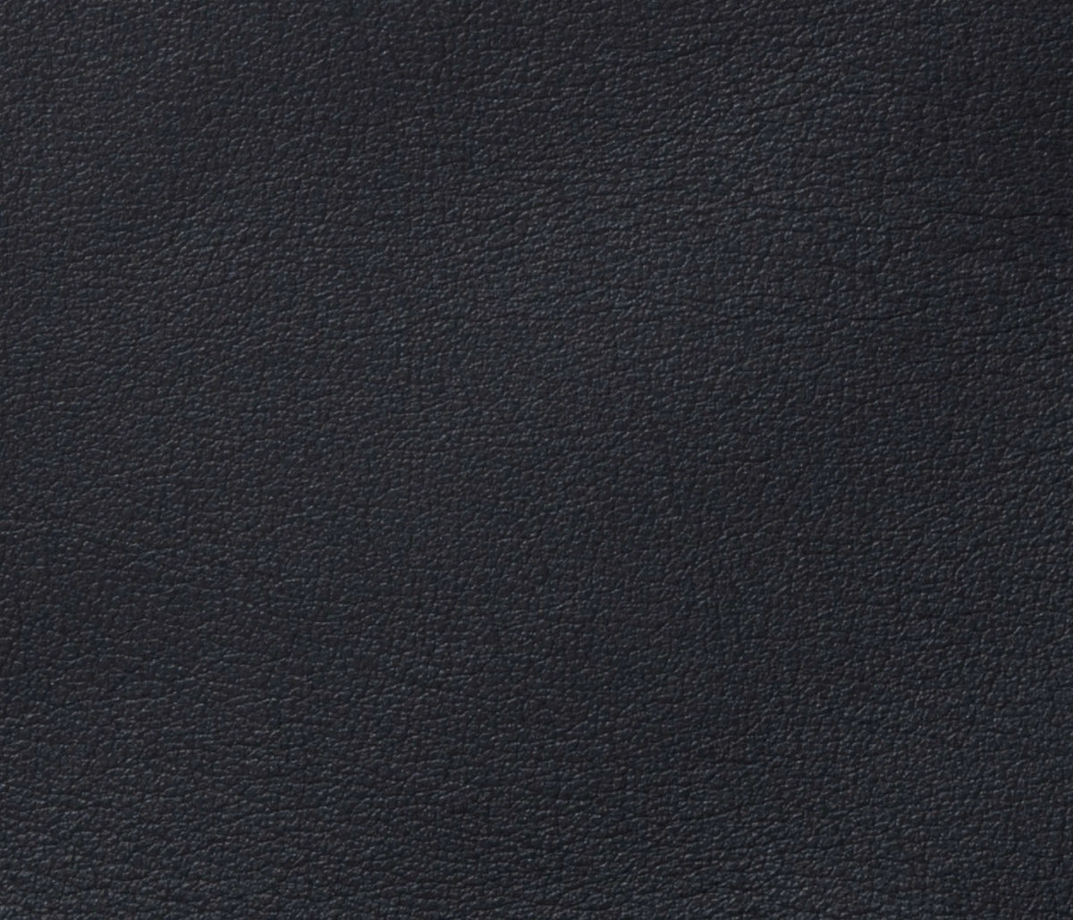 Couleur Cuir : Plateau