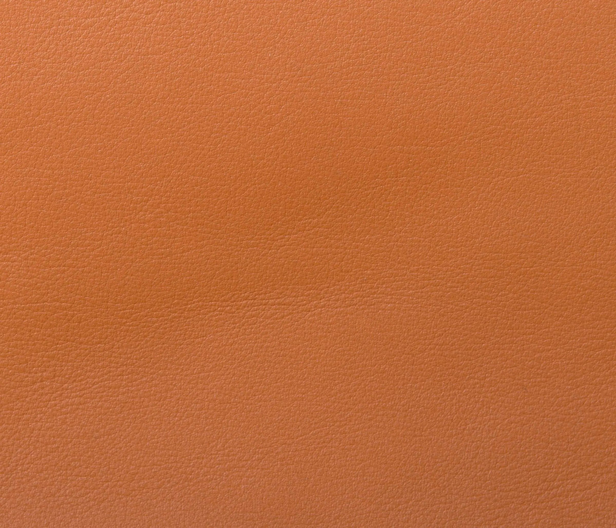 Couleur Cuir : Plateau