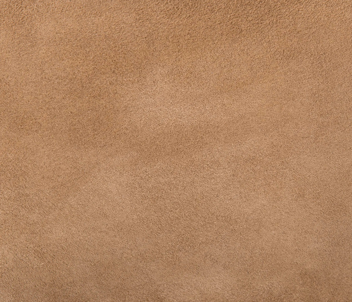 Couleur Cuir : Plateau