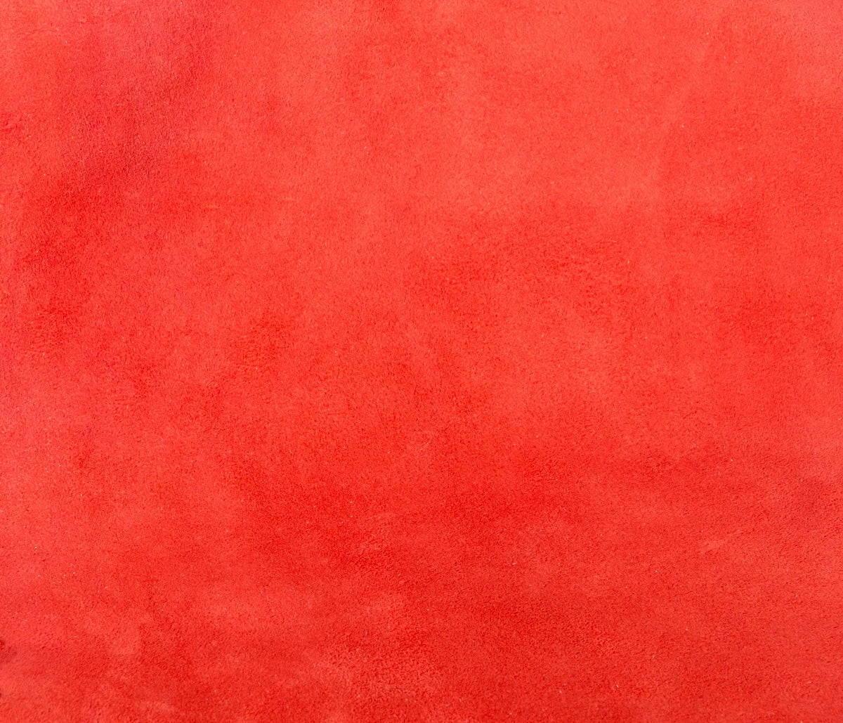 Couleur Cuir : Plateau