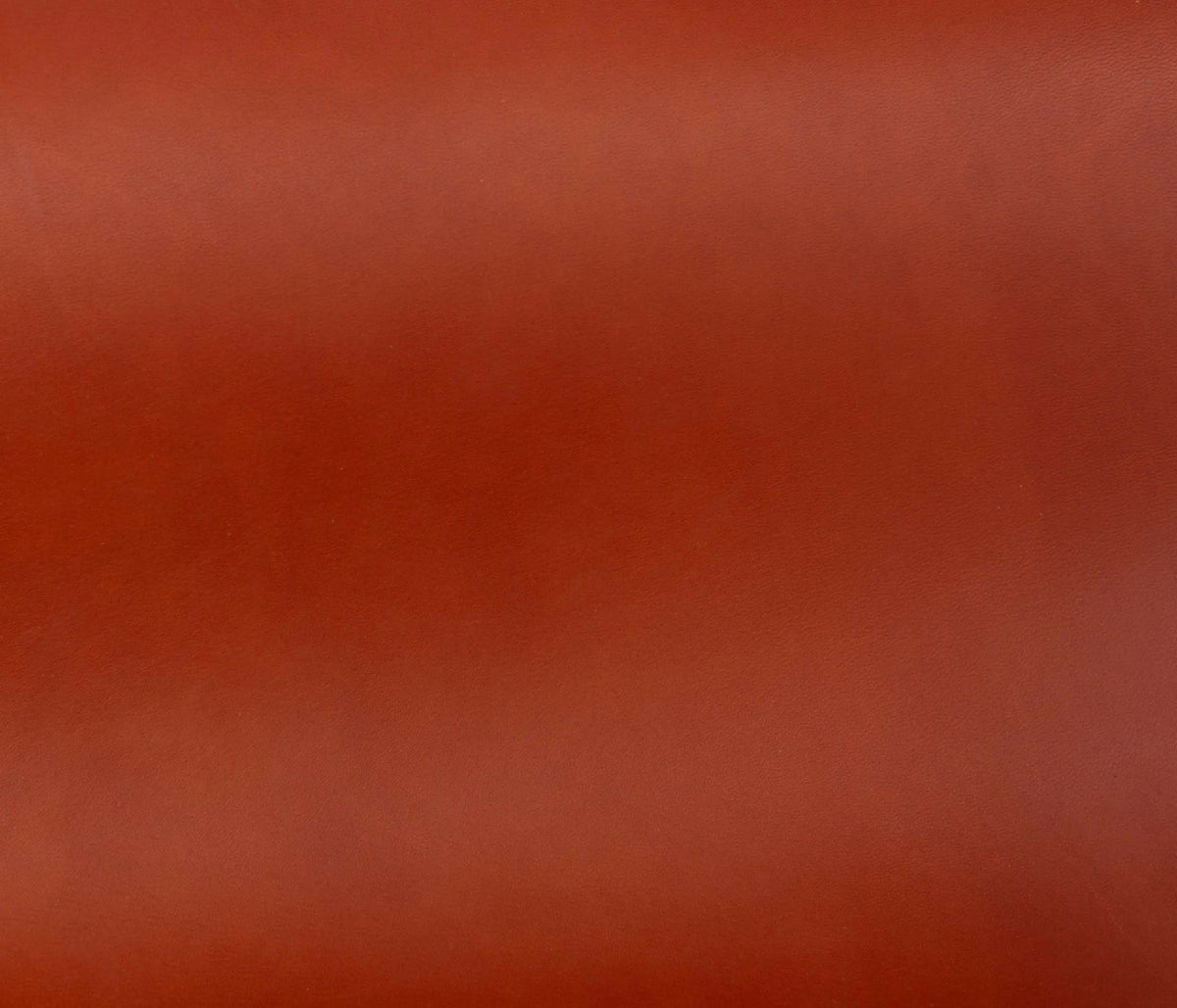Couleur Cuir : Plateau