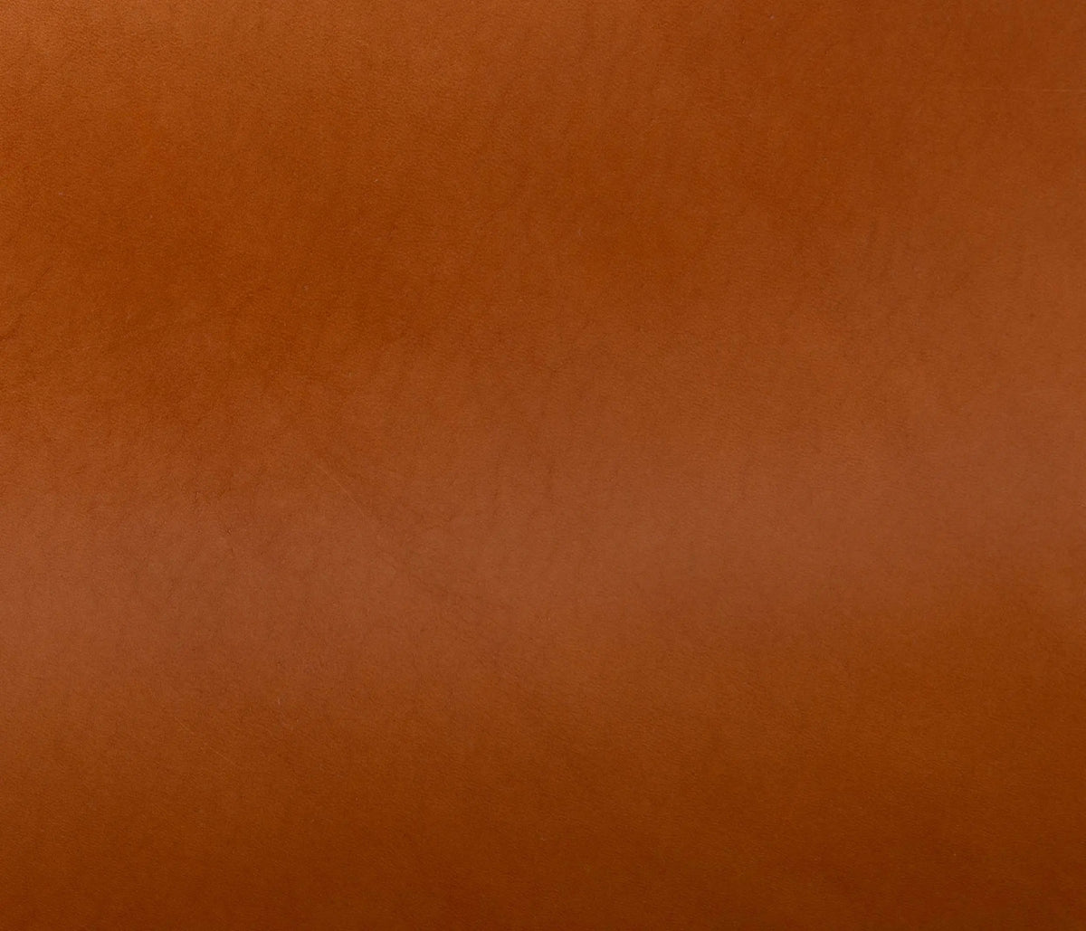 Couleur Cuir : Plateau