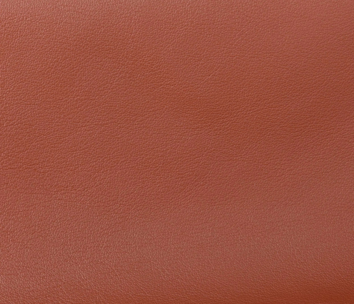 Couleur Cuir : Plateau
