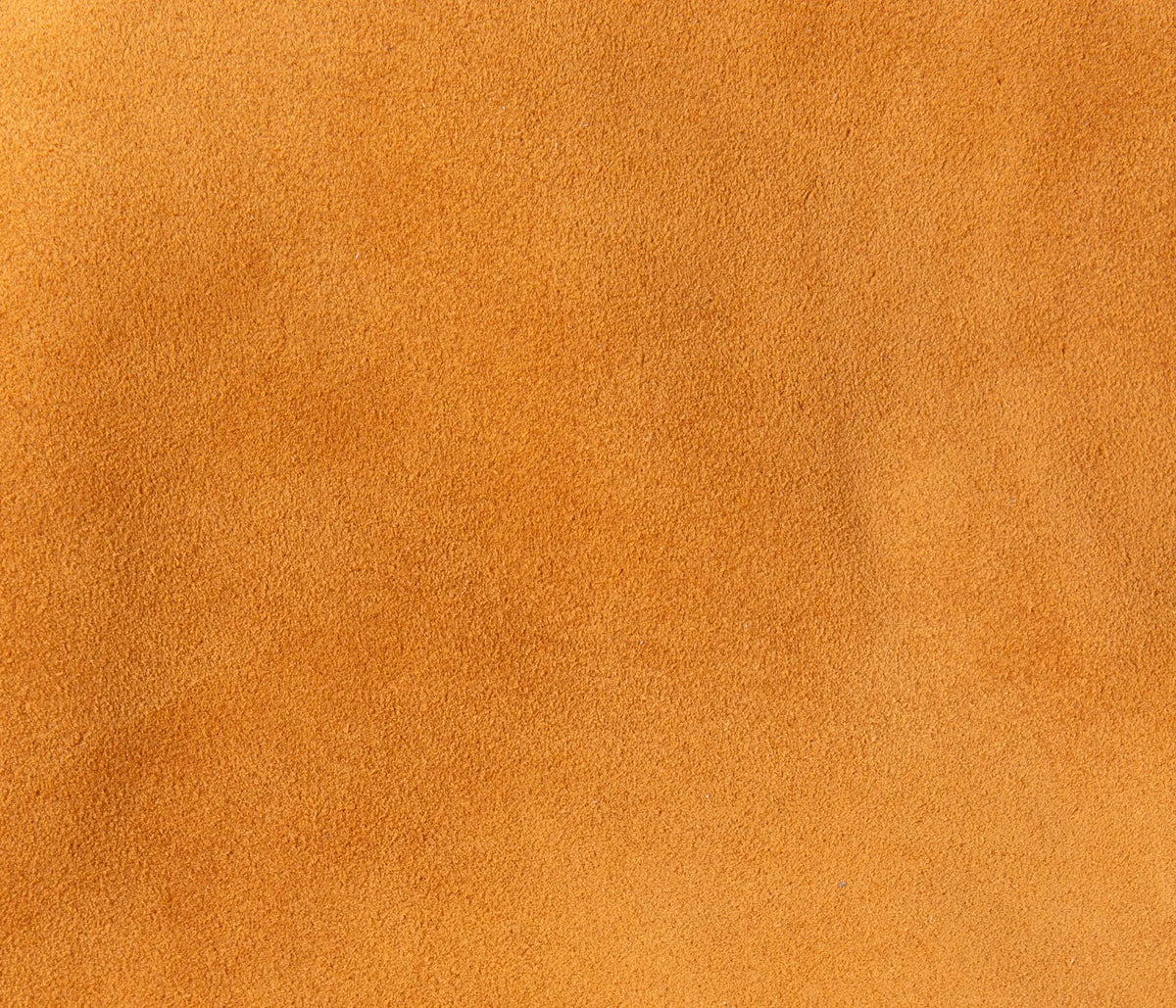 Couleur Cuir : Plateau