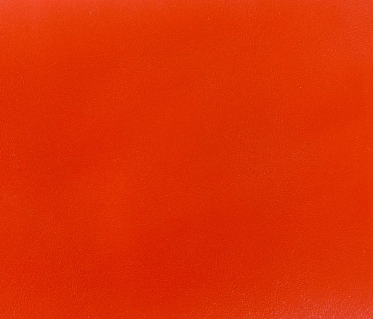 Couleur Cuir : Plateau