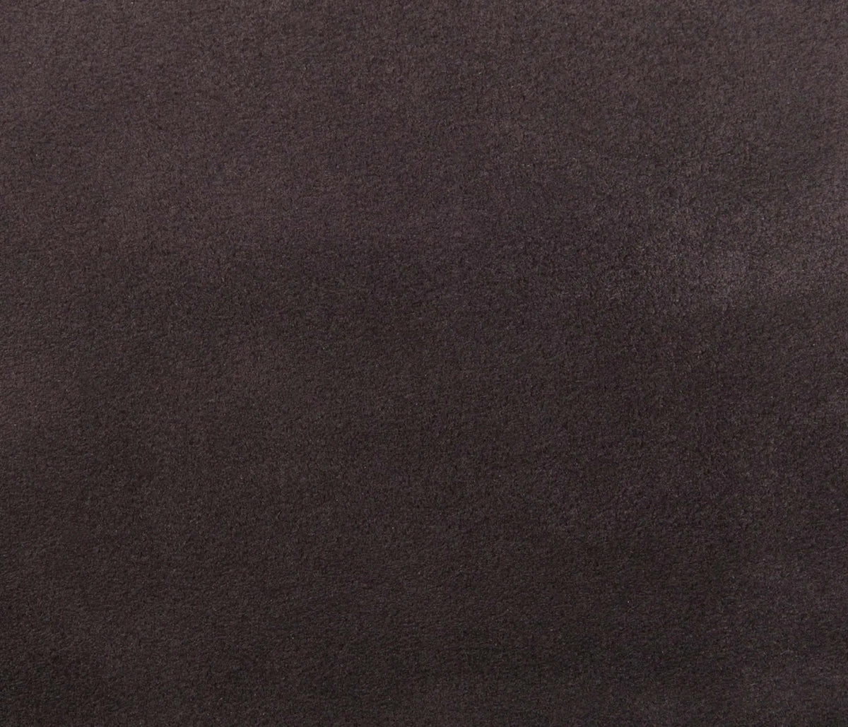Couleur Cuir : Plateau