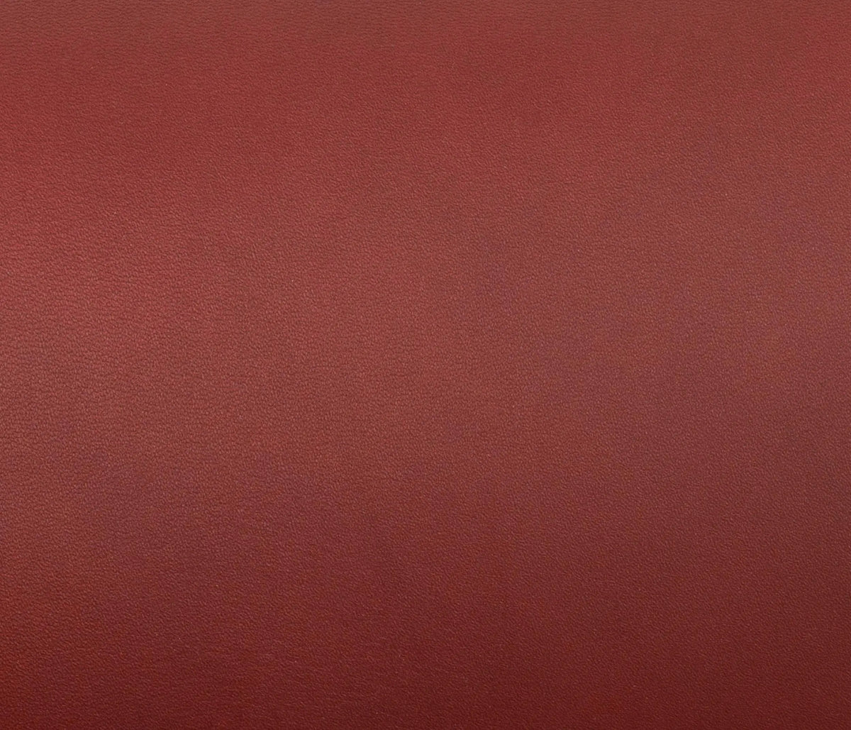 Couleur Cuir : Plateau