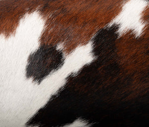 PL03 Poils vache normande