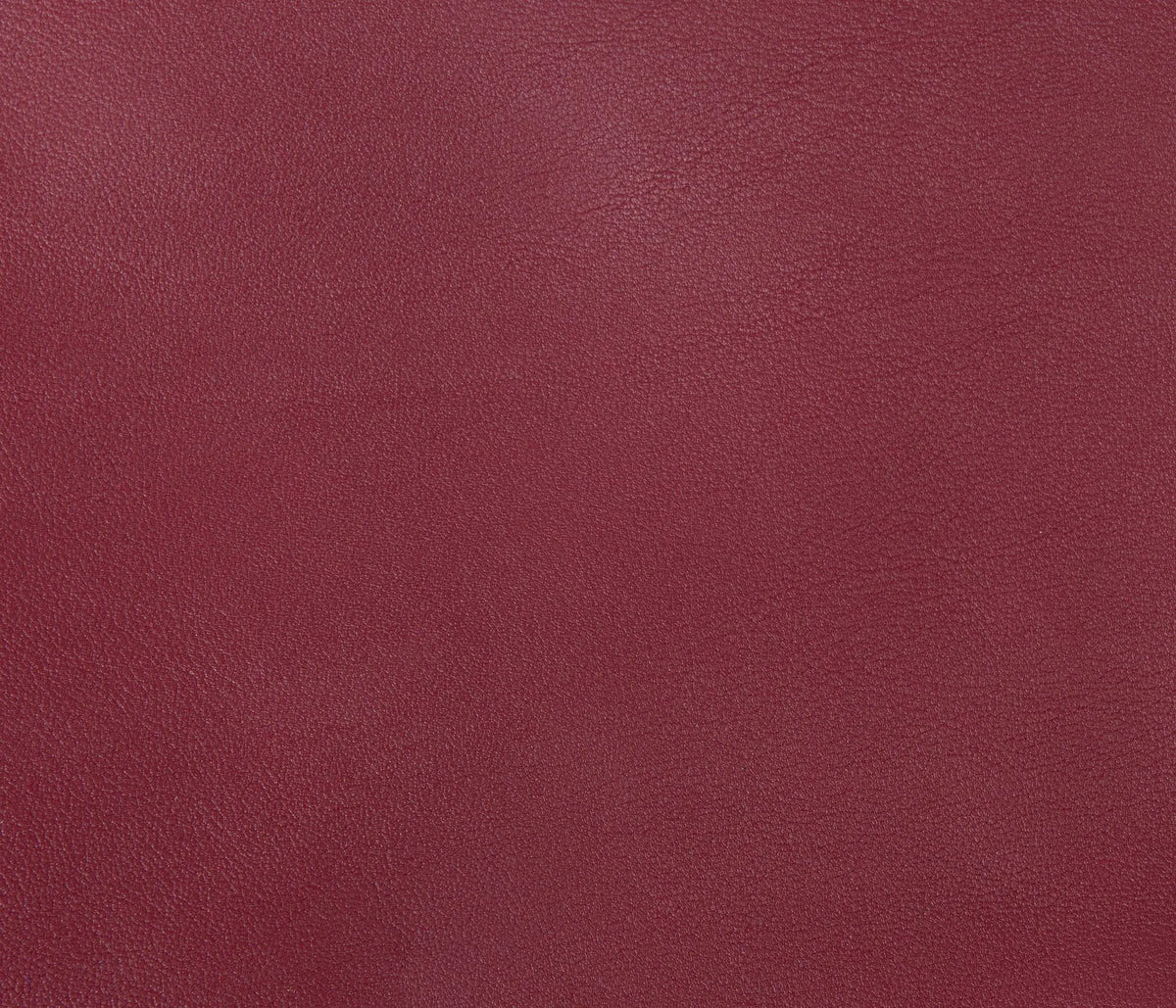 Couleur Cuir : Plateau