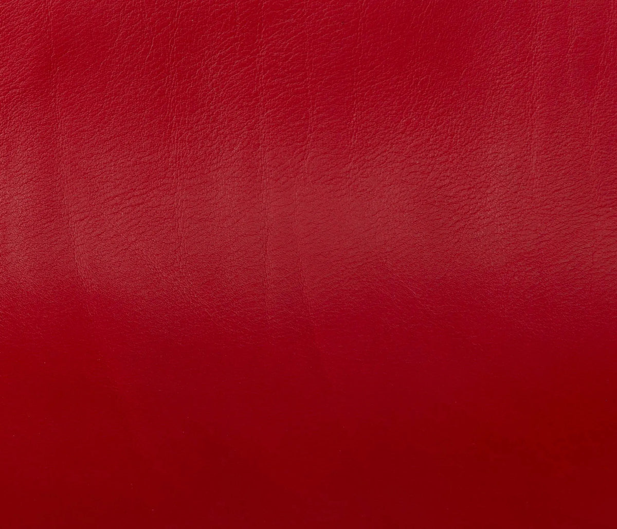 Couleur Cuir : Plateau
