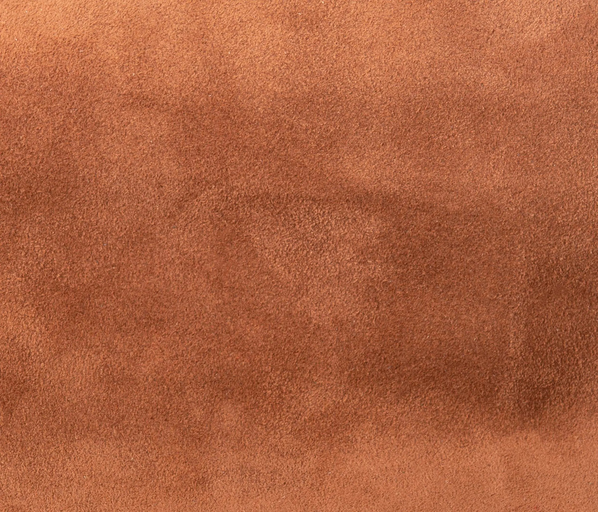Couleur Cuir : Plateau